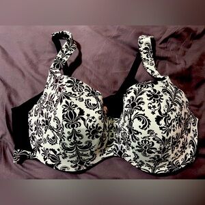 Cacique Intimates Mint & Black Comfort Bra - 42D